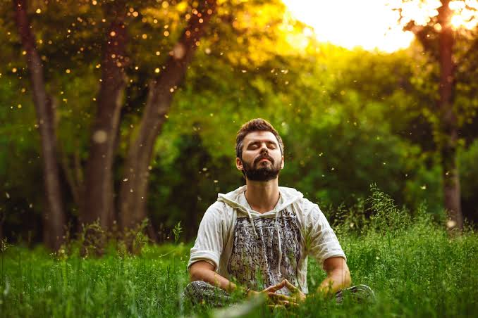 Mental clarity wellness lifestyle